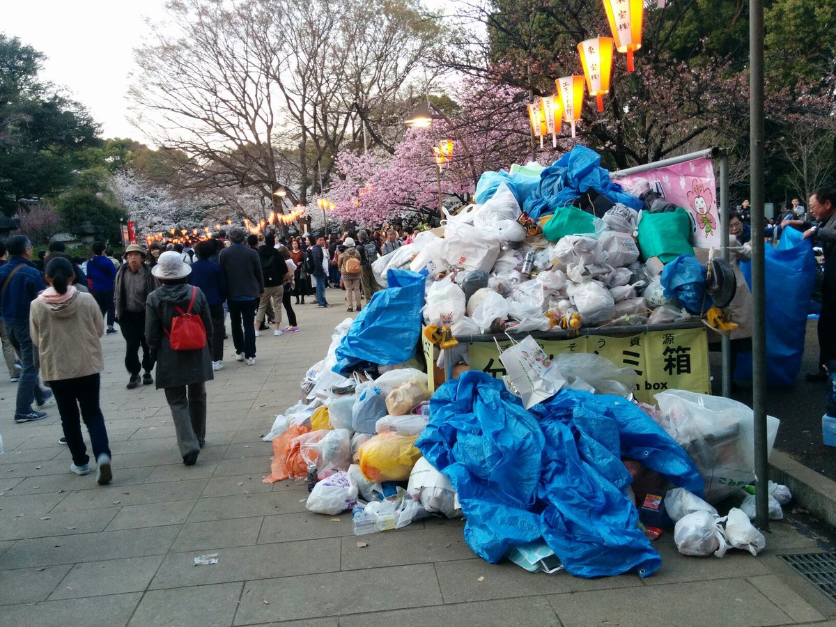 Đi ngắm hoa anh đào rồi để lại cả núi rác, đến người dân Nhật Bản cũng phải lắc đầu ngao ngán khi thấy những cảnh này